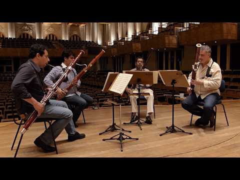 🔥 TAKE FIVE played by Camaleon Bassoons
