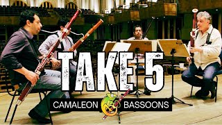 TAKE FIVE - Camaleon Bassoons