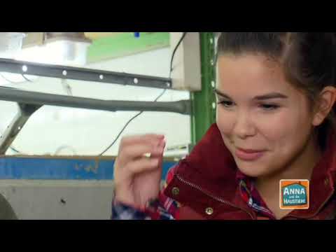 Anna Synchro - Die talkenden Snakes