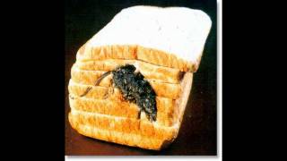 Don&#39;t You Ever Dare Call Me Chickenhead by Andy Partridge