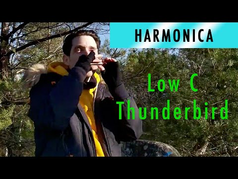 Hohner Thunderbird en C dans la foret - Ben Toury