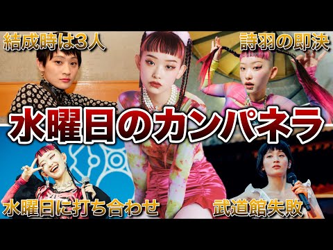 【鬼才】水曜日のカンパネラの人生がヤバすぎた!面白エピソード50連発