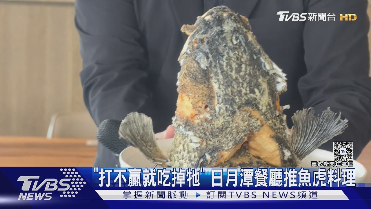 打不贏就吃掉牠!日月潭魚虎變佳餚 三杯、糖醋13道上桌