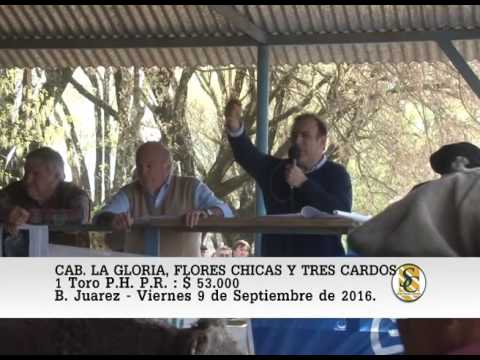 09-09-16 Venta de Toros P.H. P.R. - Cabaña La Gloria e Invitadas - B. Juarez.