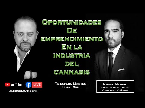 , title : 'MD. El cannabis y sus Oportunidades de emprendimiento'