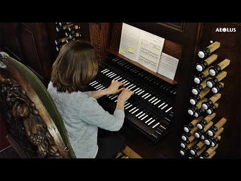 Jan Albert van Eyken: Toccata on B.A.C.H., Ute Gremmel-Geuchen plays the Richard Ibach organ (1864)