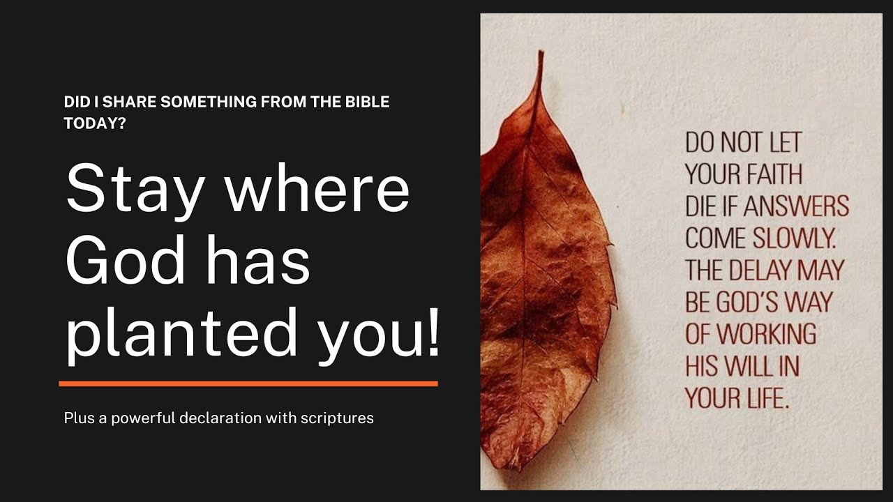 Lord, I believe, help my unbelief! #bible #god #believe #help #bibleverses #prayer #story