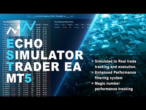 Video Echo Simulator Trader v2 MT5