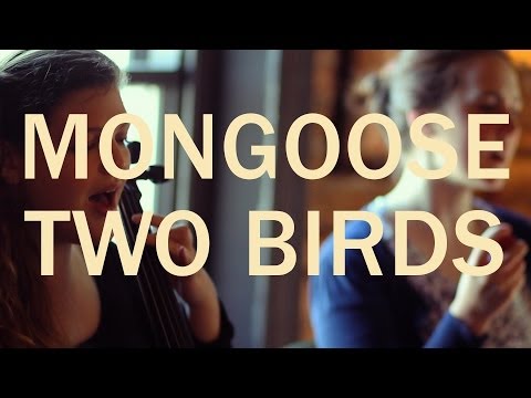 Mongoose - 'Two Birds' @ The Harbour Bar Bray