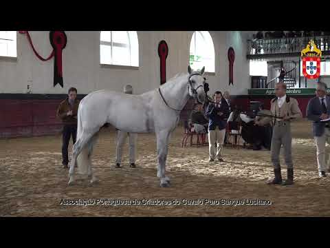 231021 7 Opalino JPL - Aprovação de Reprodutores