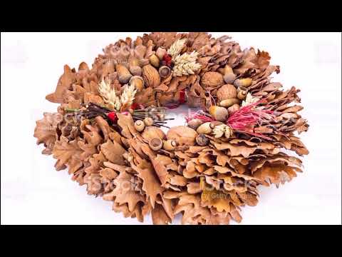 Anastasia Dimovska - B'dnik Disco Zabava - Part 2 - 06.01.2018