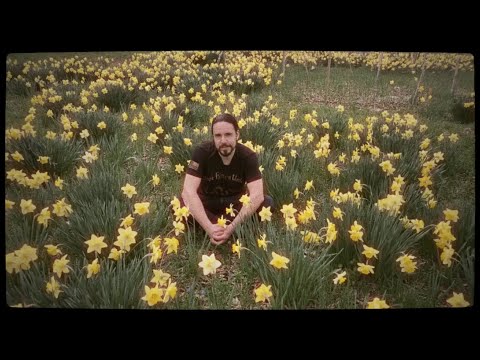 AURA BLAZE - THE OLD PLACE ⏳ (official music video)