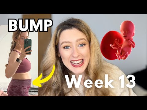 13 Weeks Pregnant | Week by Week of Pregnancy: Symptoms and Development