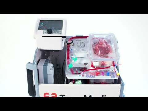 Obrazek poglądowy filmu YouTube