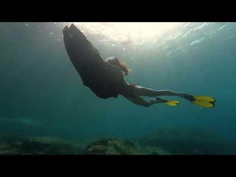 iAqua | AquaDart - Aquawaltz