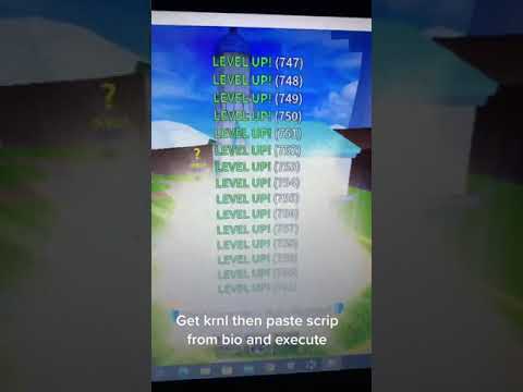 Blox Fruits XP GLITCH RN MAX LEVEL SCRIP WORKING 2023.