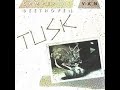 CAMPER VAN BEETHOVEN - OVER & OVER #fleetwoodmac