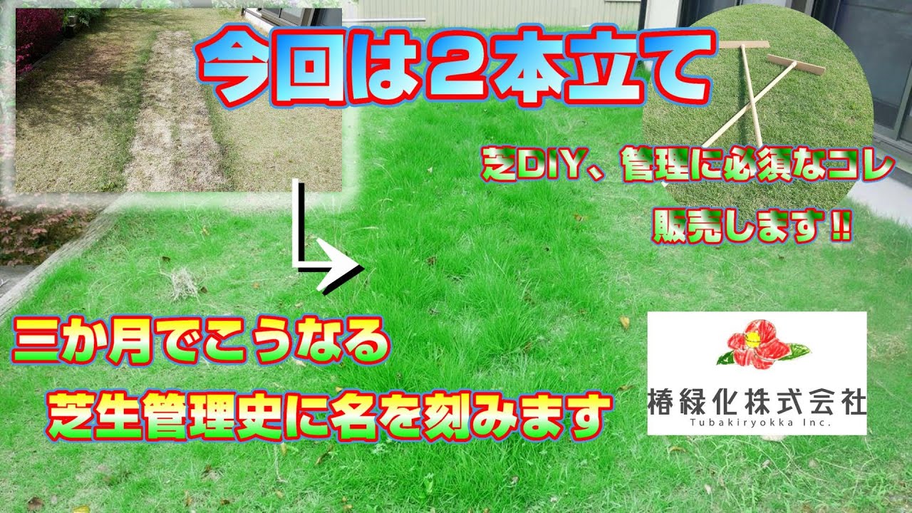 【芝生管理革命】不可能だと言われていた事を可能にしました！と、ショップの品目を増やします！の二本立て