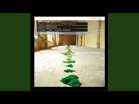 Gaudent in caelis - 1