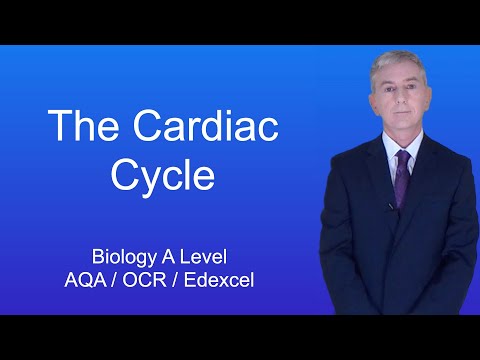 A level Biology Revision "The Cardiac Cycle"