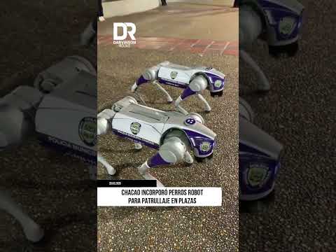 Gustavo Duque anunció vigilancia con robots en espacios públicos