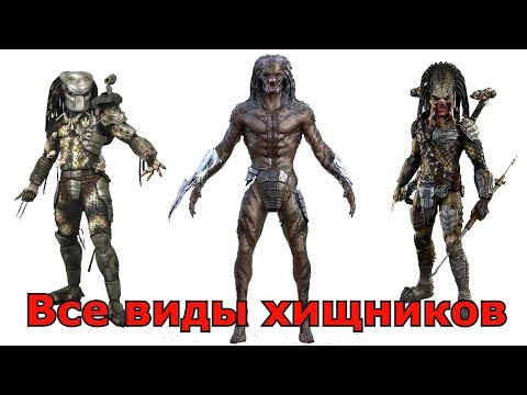 Сравнение всех видов Хищников (Яутжа)
