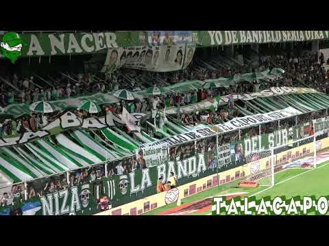 "Yo te sigo alentando...F08 Vs Aldosivi" Barra: La Banda del Sur &bull; Club: Banfield &bull; País: Argentina