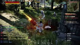 黒い砂漠 ps4　始めたての初心者です。楽しんでやっていきます。