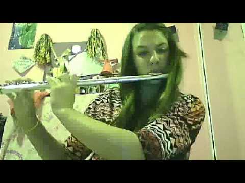 Perfect by P!nk - FLUTE COVER