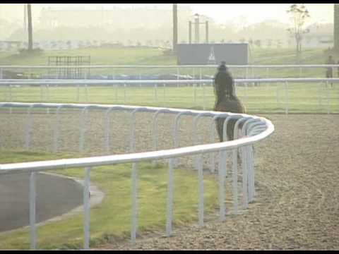 Dubai Golden Shaheen 2010 (Rocket Man's Wed Trackwork)