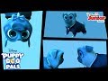 Spy Puppies Music Video Puppy Dog Pals Disney Junior