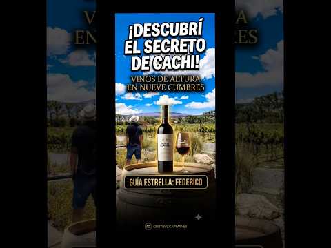 ¡El Secreto de Cachi! Torrontés de Altura en Nueve Cumbres 🍷