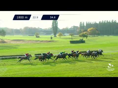 08.10.2022 - (Dzień 37; Gonitwa 6)