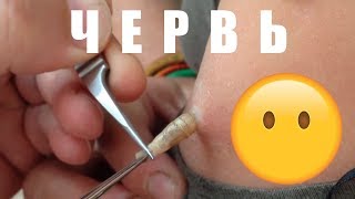 Ссылка