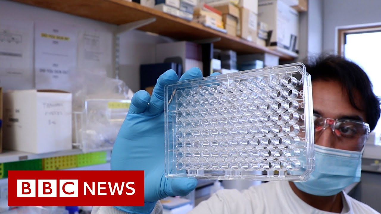 What are the Delta Covid variant symptoms? - BBC News