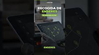 Recogida de enseres y voluminosos, de la llamada a la ruta #Shorts