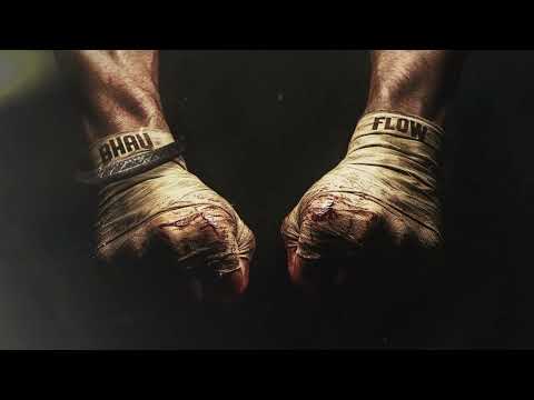 BHAU FLOW - Gurinder Gill | Manu | Sach ( Official Visualizer )