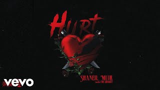 Download lagu Shaneil Muir, Cjthechemist - Hurt (Audio Visual) mp3