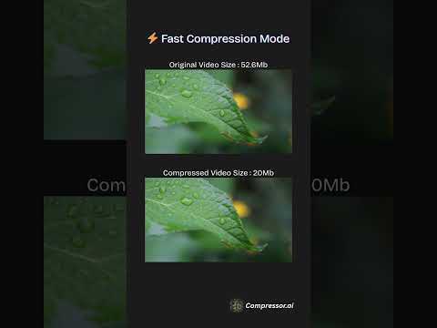 Compressor.ai