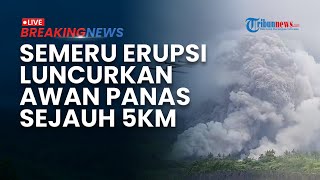 BREAKING NEWS: Gunung Semeru Erupsi! Guguran Awan Panas Meluncur Sejauh 5 Km, Warga Mulai Mengungsi