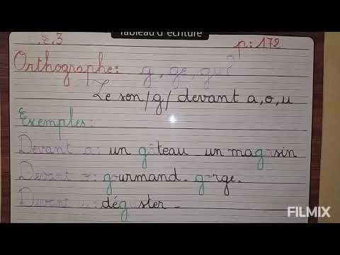 Quand écrire : g, ge ou gu?  .  CE3