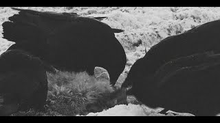 Video Nothing Left To Say - Exil feat. Astral One (Official Video)