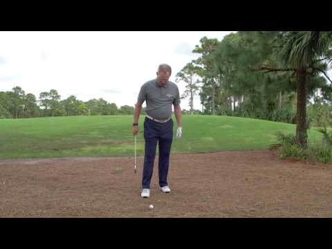 My ball is resting on pine straw | Fix Finder #147 | GOLF.com