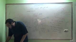 النقد الكتابي واللغة اليونانية (6) التحريف المبكر لنصوص العهد الجديد image