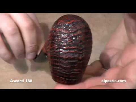 pipa Ascorti 188 - smoking pipes