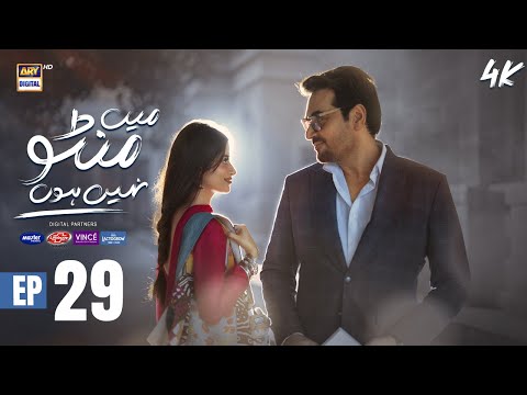 Mein Manto Nahi Hoon Episode 29