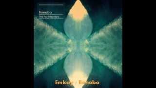 My Favorite Electronica, Ambient 8
