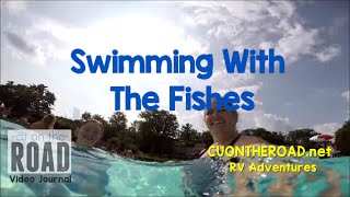 Swimming With The Fishes in Watkins Glen SP