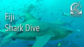 preview picture of video 'Fiji Shark Dive | 2014'