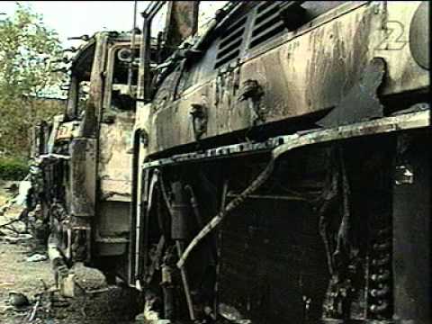 Norra magasinet - Veganism